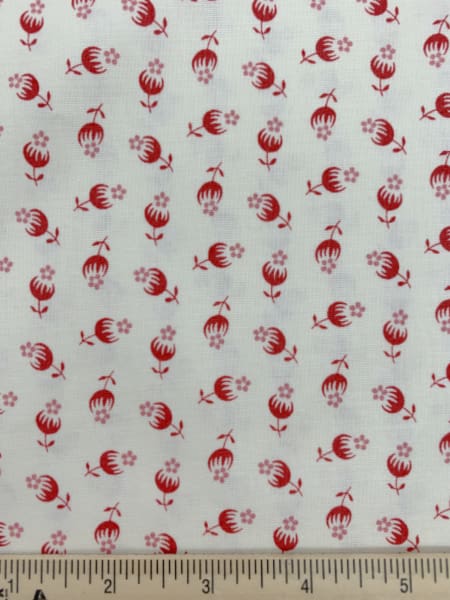 Rosehips from Tender Romance quilting fabric by Rennee Nanneman